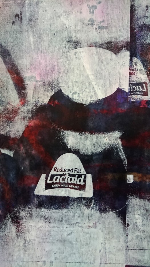 DSCPDC_0003_BURST20181214152508985_COVER